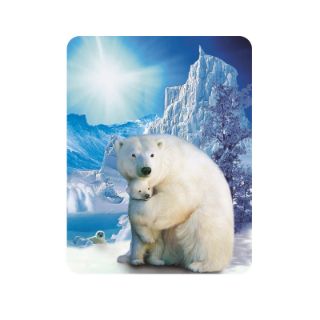 Obrázek z Magnet 3D 7x9cm - lední medvěd s mládětem (25) 